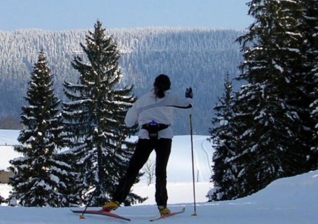  Esquí de fondo en un parque natural